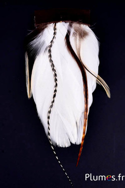 Bijou pour cheveux Grizzly - 15 x 6 cm - blanc